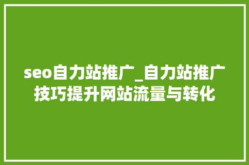 seo自力站推广_自力站推广技巧提升网站流量与转化 seo自力站推广_自力站推广技巧提升网站流量与转化 神马SEO