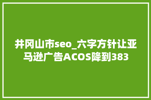 井冈山市seo_六字方针让亚马逊广告ACOS降到383 井冈山市seo_六字方针让亚马逊广告ACOS降到383 SEO关键词