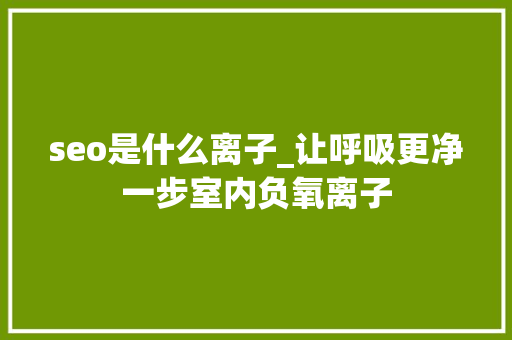 seo是什么离子_让呼吸更净一步室内负氧离子