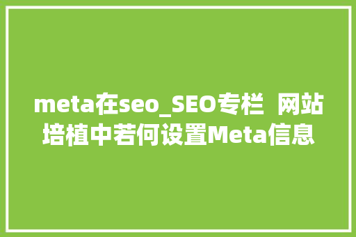 meta在seo_SEO专栏  网站培植中若何设置Meta信息提高SEO meta在seo_SEO专栏  网站培植中若何设置Meta信息提高SEO 搜狗SEO