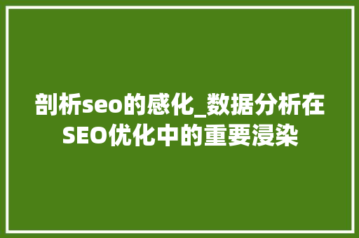 剖析seo的感化_数据分析在SEO优化中的重要浸染 剖析seo的感化_数据分析在SEO优化中的重要浸染 SEO关键词