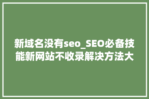 新域名没有seo_SEO必备技能新网站不收录解决方法大年夜全 新域名没有seo_SEO必备技能新网站不收录解决方法大年夜全 网站建设公司