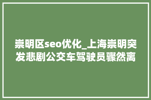 崇明区seo优化_上海崇明突发悲剧公交车驾驶员骤然离世车辆失落控坠入河道 崇明区seo优化_上海崇明突发悲剧公交车驾驶员骤然离世车辆失落控坠入河道 搜狗SEO