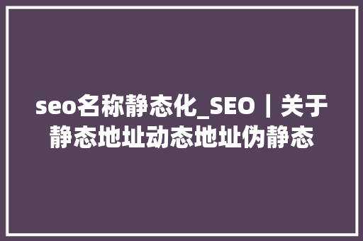 seo名称静态化_SEO｜关于静态地址动态地址伪静态 seo名称静态化_SEO｜关于静态地址动态地址伪静态 必应SEO
