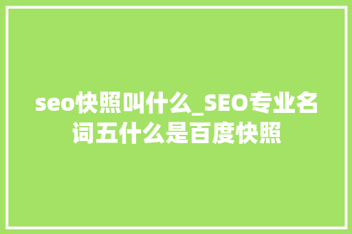 seo快照叫什么_SEO专业名词五什么是百度快照 seo快照叫什么_SEO专业名词五什么是百度快照 网站建设公司