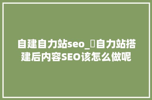自建自力站seo_​自力站搭建后内容SEO该怎么做呢 自建自力站seo_​自力站搭建后内容SEO该怎么做呢 必应SEO