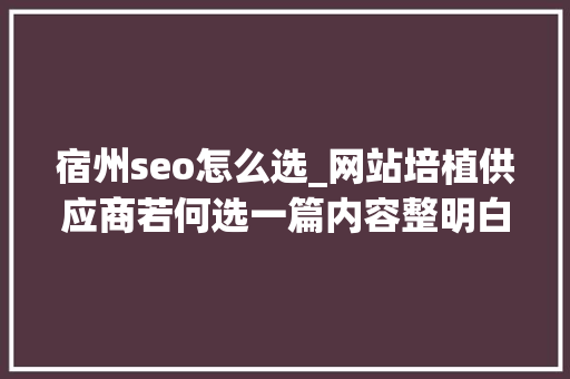 宿州seo怎么选_网站培植供应商若何选一篇内容整明白了 宿州seo怎么选_网站培植供应商若何选一篇内容整明白了 百度SEO