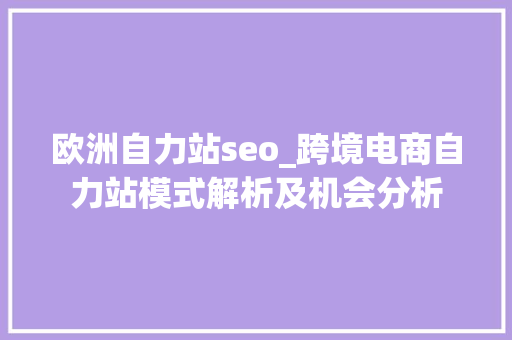 欧洲自力站seo_跨境电商自力站模式解析及机会分析 欧洲自力站seo_跨境电商自力站模式解析及机会分析 网站建设公司