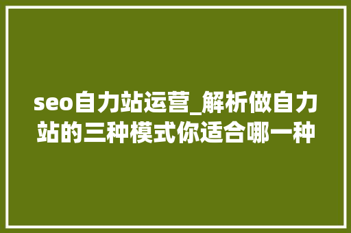 seo自力站运营_解析做自力站的三种模式你适合哪一种 seo自力站运营_解析做自力站的三种模式你适合哪一种 搜狗SEO