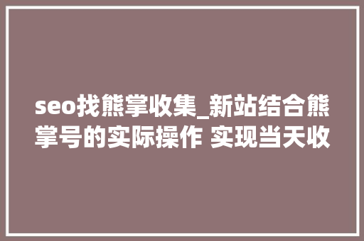 seo找熊掌收集_新站结合熊掌号的实际操作 实现当天收录 seo找熊掌收集_新站结合熊掌号的实际操作 实现当天收录 SEO关键词