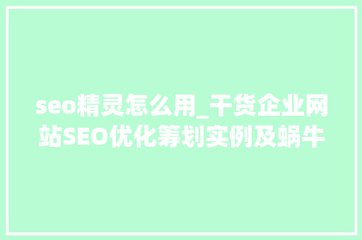 seo精灵怎么用_干货企业网站SEO优化筹划实例及蜗牛精灵软件的运用 seo精灵怎么用_干货企业网站SEO优化筹划实例及蜗牛精灵软件的运用 网站建设公司