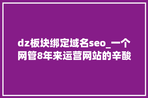 dz板块绑定域名seo_一个网管8年来运营网站的辛酸经历 dz板块绑定域名seo_一个网管8年来运营网站的辛酸经历 网站建设公司