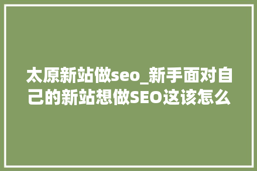 太原新站做seo_新手面对自己的新站想做SEO这该怎么做 太原新站做seo_新手面对自己的新站想做SEO这该怎么做 网站建设公司