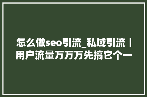 怎么做seo引流_私域引流｜用户流量万万万先搞它个一百万 怎么做seo引流_私域引流｜用户流量万万万先搞它个一百万 百度SEO