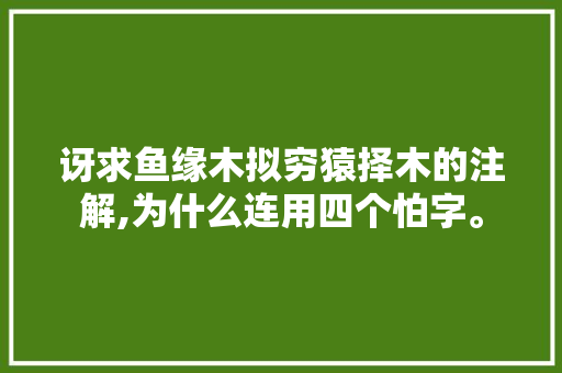讶求鱼缘木拟穷猿择木的注解,为什么连用四个怕字。 讶求鱼缘木拟穷猿择木的注解,为什么连用四个怕字。 神马SEO
