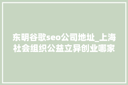东明谷歌seo公司地址_上海社会组织公益立异创业哪家强这个团队评分最高 东明谷歌seo公司地址_上海社会组织公益立异创业哪家强这个团队评分最高 必应SEO