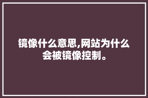 镜像什么意思,网站为什么会被镜像控制。 镜像什么意思,网站为什么会被镜像控制。 百度SEO