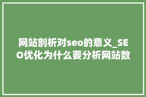 网站剖析对seo的意义_SEO优化为什么要分析网站数据分析数据的目的是什么 网站剖析对seo的意义_SEO优化为什么要分析网站数据分析数据的目的是什么 神马SEO