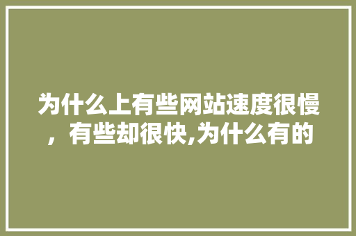 为什么上有些网站速度很慢，有些却很快,为什么有的网站慢。 为什么上有些网站速度很慢，有些却很快,为什么有的网站慢。 网站建设公司