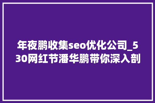 年夜鹏收集seo优化公司_530网红节潘华鹏带你深入剖析网红成名之路 年夜鹏收集seo优化公司_530网红节潘华鹏带你深入剖析网红成名之路 神马SEO