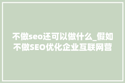 不做seo还可以做什么_假如不做SEO优化企业互联网营销还能做啥 不做seo还可以做什么_假如不做SEO优化企业互联网营销还能做啥 必应SEO