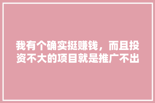 我有个确实挺赚钱，而且投资不大的项目就是推广不出去怎么办呀,为什么现在推广很难做了。 我有个确实挺赚钱，而且投资不大的项目就是推广不出去怎么办呀,为什么现在推广很难做了。 网站建设公司