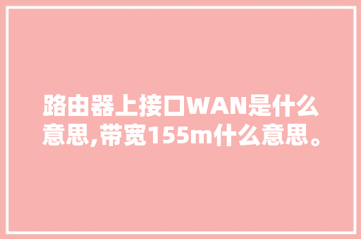 路由器上接口WAN是什么意思,带宽155m什么意思。