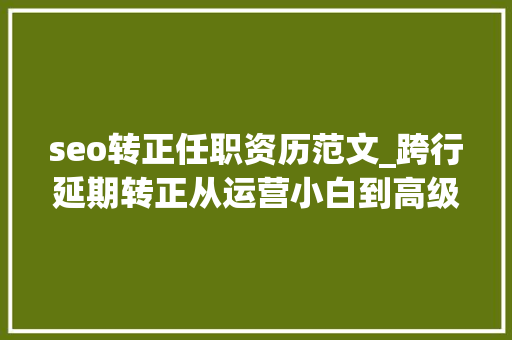 seo转正任职资历范文_跨行延期转正从运营小白到高级经理之路上 seo转正任职资历范文_跨行延期转正从运营小白到高级经理之路上 百度SEO
