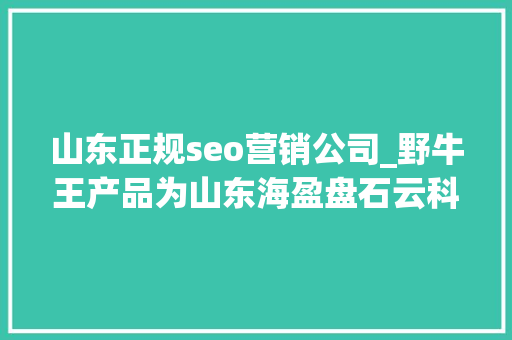 山东正规seo营销公司_野牛王产品为山东海盈盘石云科技有限公司供应的卓越营销做事 山东正规seo营销公司_野牛王产品为山东海盈盘石云科技有限公司供应的卓越营销做事 百度SEO