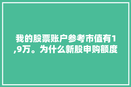 我的股票账户参考市值有1,9万。为什么新股申购额度为0,为什么我上海a股申购额度为0呢。 我的股票账户参考市值有1,9万。为什么新股申购额度为0,为什么我上海a股申购额度为0呢。 百度SEO