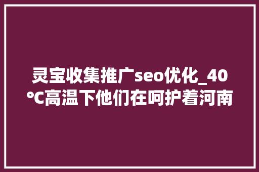 灵宝收集推广seo优化_40℃高温下他们在呵护着河南电网的大年夜动脉 灵宝收集推广seo优化_40℃高温下他们在呵护着河南电网的大年夜动脉 神马SEO