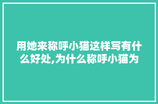 用她来称呼小猫这样写有什么好处,为什么称呼小猫为小孩呢。 用她来称呼小猫这样写有什么好处,为什么称呼小猫为小孩呢。 SEO关键词