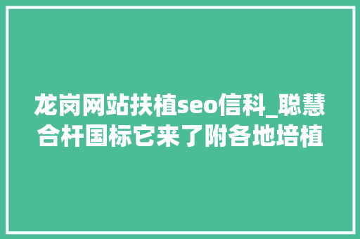 龙岗网站扶植seo信科_聪慧合杆国标它来了附各地培植进度实例 龙岗网站扶植seo信科_聪慧合杆国标它来了附各地培植进度实例 百度SEO