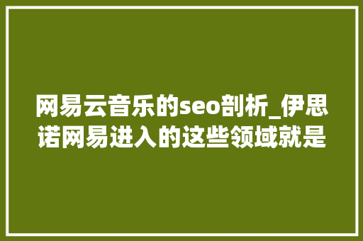 网易云音乐的seo剖析_伊思诺网易进入的这些领域就是互联网的下一个风口 网易云音乐的seo剖析_伊思诺网易进入的这些领域就是互联网的下一个风口 网站建设公司