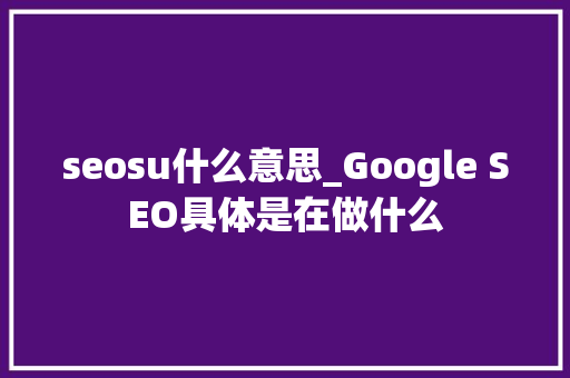 seosu什么意思_Google SEO具体是在做什么 seosu什么意思_Google SEO具体是在做什么 网站建设公司