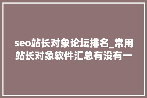 seo站长对象论坛排名_常用站长对象软件汇总有没有一款你在用 seo站长对象论坛排名_常用站长对象软件汇总有没有一款你在用 网站建设公司