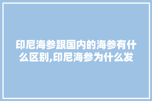 印尼海参跟国内的海参有什么区别,印尼海参为什么发白呢。 印尼海参跟国内的海参有什么区别,印尼海参为什么发白呢。 SEO关键词