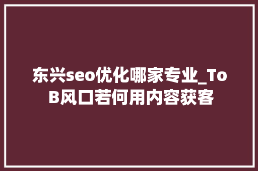 东兴seo优化哪家专业_To B风口若何用内容获客 东兴seo优化哪家专业_To B风口若何用内容获客 网站建设公司