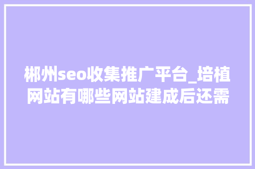 郴州seo收集推广平台_培植网站有哪些网站建成后还需要掩护吗 郴州seo收集推广平台_培植网站有哪些网站建成后还需要掩护吗 神马SEO