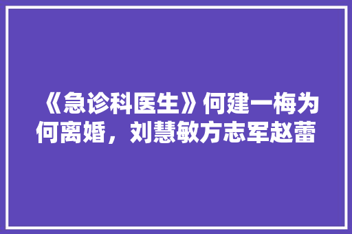 《急诊科医生》何建一梅为何离婚，刘慧敏方志军赵蕾之间发生了什么,小大夫男女主为啥离婚。 《急诊科医生》何建一梅为何离婚，刘慧敏方志军赵蕾之间发生了什么,小大夫男女主为啥离婚。 神马SEO