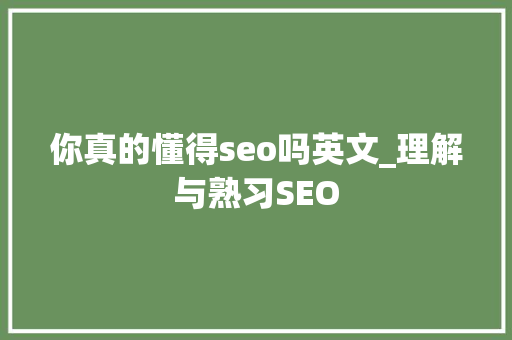 你真的懂得seo吗英文_理解与熟习SEO 你真的懂得seo吗英文_理解与熟习SEO 网站建设公司