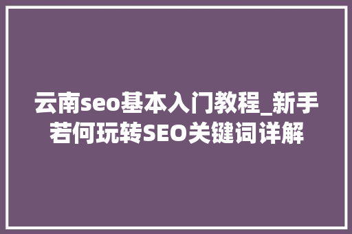 云南seo基本入门教程_新手若何玩转SEO关键词详解 云南seo基本入门教程_新手若何玩转SEO关键词详解 百度SEO
