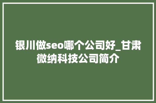 银川做seo哪个公司好_甘肃微纳科技公司简介 银川做seo哪个公司好_甘肃微纳科技公司简介 必应SEO