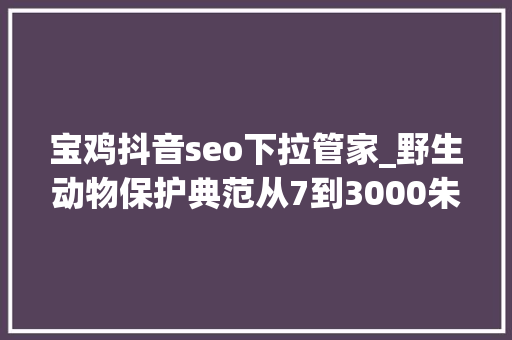 宝鸡抖音seo下拉管家_野生动物保护典范从7到3000朱鹮保护之路 宝鸡抖音seo下拉管家_野生动物保护典范从7到3000朱鹮保护之路 SEO关键词
