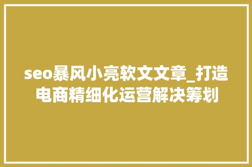 seo暴风小亮软文文章_打造电商精细化运营解决筹划 seo暴风小亮软文文章_打造电商精细化运营解决筹划 SEO关键词