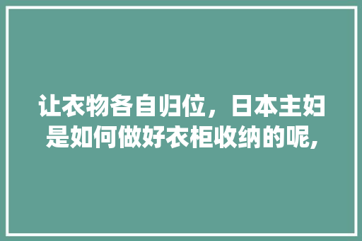 让衣物各自归位，日本主妇是如何做好衣柜收纳的呢,lego为什么贵。 让衣物各自归位，日本主妇是如何做好衣柜收纳的呢,lego为什么贵。 搜狗SEO
