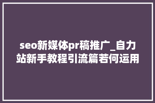 seo新媒体pr稿推广_自力站新手教程引流篇若何运用PR稿来推广网站 seo新媒体pr稿推广_自力站新手教程引流篇若何运用PR稿来推广网站 网站建设公司