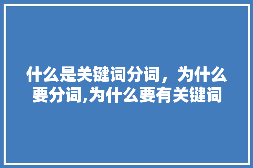 什么是关键词分词，为什么要分词,为什么要有关键词的英文。 什么是关键词分词，为什么要分词,为什么要有关键词的英文。 SEO关键词