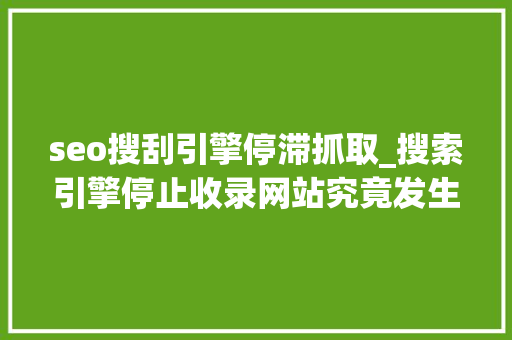 seo搜刮引擎停滞抓取_搜索引擎停止收录网站究竟发生了什么 seo搜刮引擎停滞抓取_搜索引擎停止收录网站究竟发生了什么 必应SEO