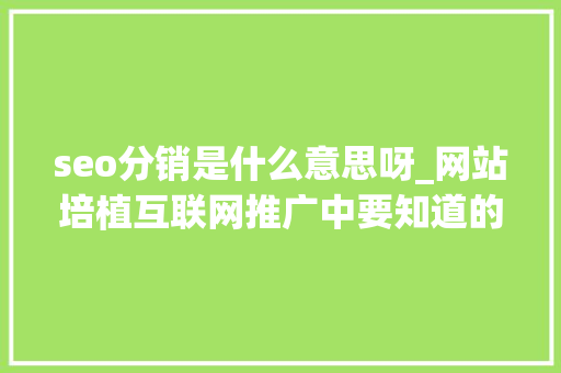 seo分销是什么意思呀_网站培植互联网推广中要知道的10个SEO技巧 seo分销是什么意思呀_网站培植互联网推广中要知道的10个SEO技巧 SEO关键词